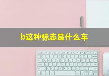 b这种标志是什么车