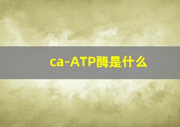 ca-ATP酶是什么