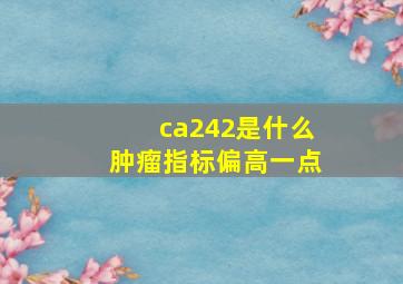 ca242是什么肿瘤指标偏高一点