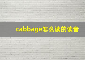 cabbage怎么读的读音