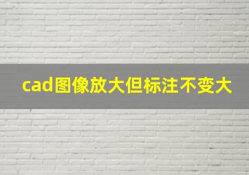 cad图像放大但标注不变大