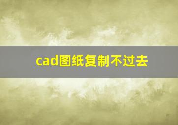 cad图纸复制不过去