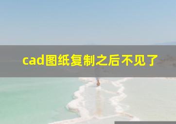 cad图纸复制之后不见了