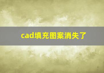 cad填充图案消失了