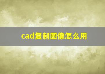 cad复制图像怎么用