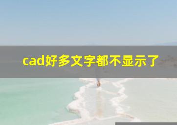 cad好多文字都不显示了