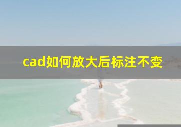 cad如何放大后标注不变