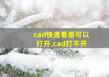 cad快速看图可以打开,cad打不开