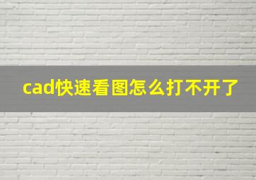 cad快速看图怎么打不开了