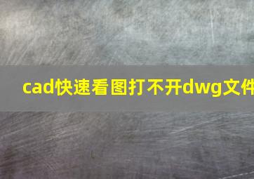 cad快速看图打不开dwg文件