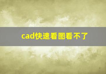 cad快速看图看不了