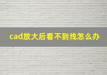 cad放大后看不到线怎么办