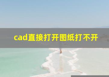 cad直接打开图纸打不开