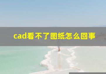 cad看不了图纸怎么回事