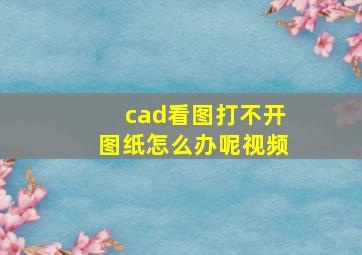 cad看图打不开图纸怎么办呢视频