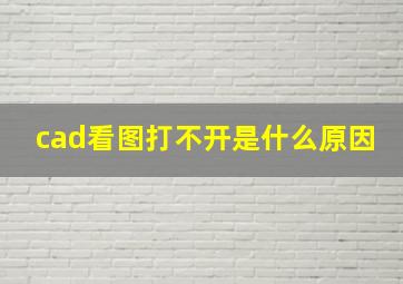 cad看图打不开是什么原因