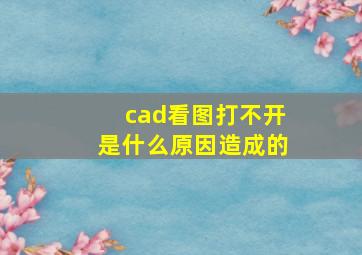 cad看图打不开是什么原因造成的