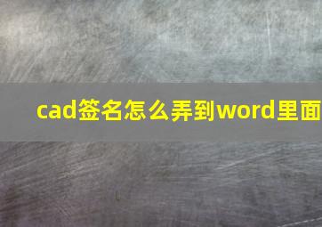 cad签名怎么弄到word里面