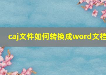 caj文件如何转换成word文档