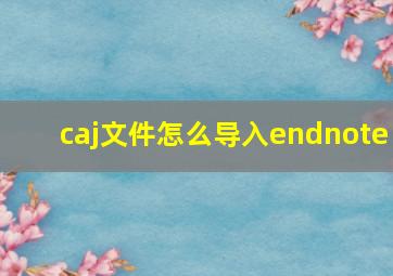 caj文件怎么导入endnote