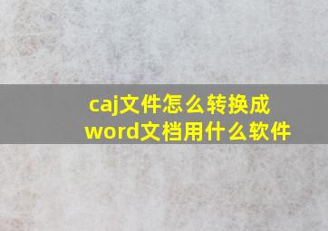 caj文件怎么转换成word文档用什么软件