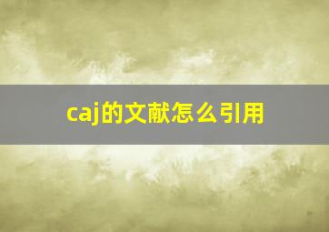 caj的文献怎么引用