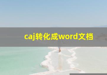 caj转化成word文档