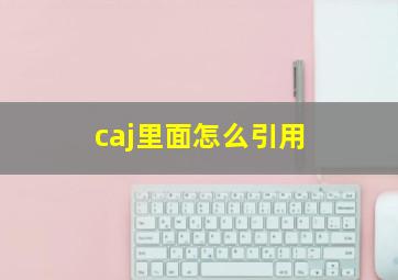 caj里面怎么引用