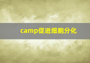 camp促进细胞分化