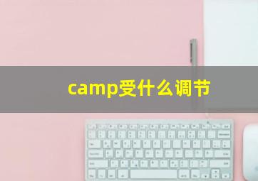 camp受什么调节