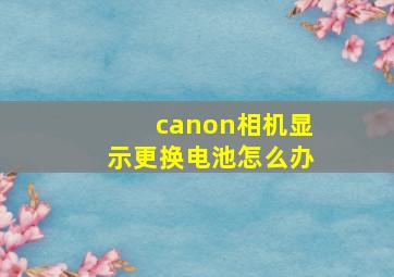 canon相机显示更换电池怎么办