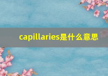 capillaries是什么意思