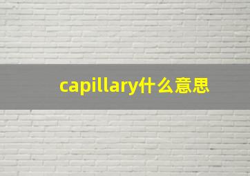 capillary什么意思