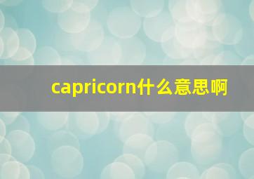 capricorn什么意思啊