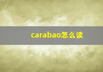 carabao怎么读