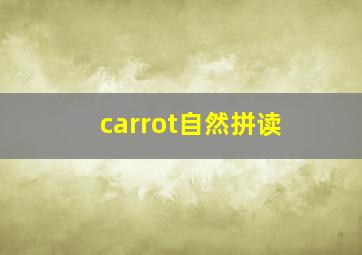 carrot自然拼读