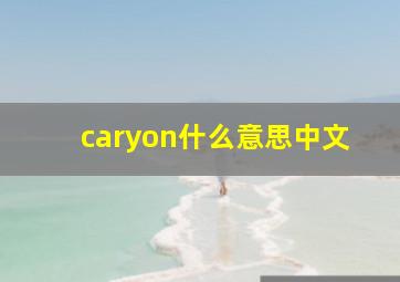 caryon什么意思中文