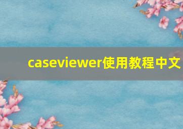 caseviewer使用教程中文