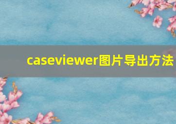 caseviewer图片导出方法