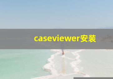 caseviewer安装