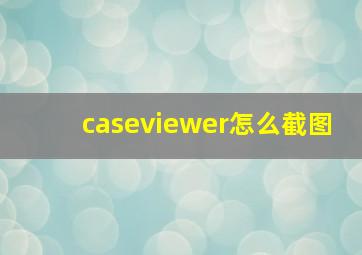 caseviewer怎么截图