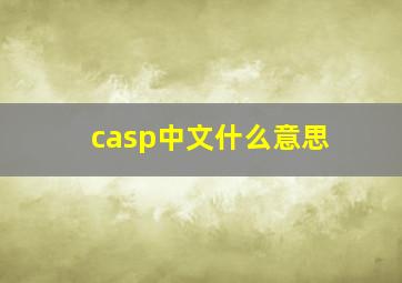 casp中文什么意思