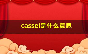 cassei是什么意思