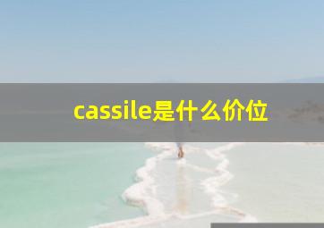 cassile是什么价位