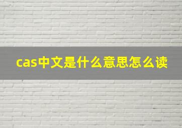 cas中文是什么意思怎么读