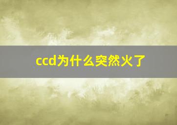 ccd为什么突然火了