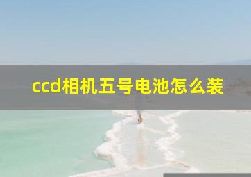 ccd相机五号电池怎么装