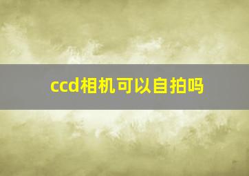 ccd相机可以自拍吗