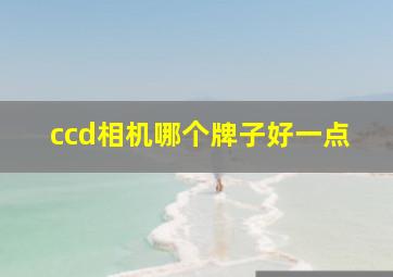 ccd相机哪个牌子好一点