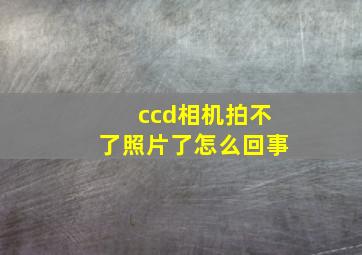 ccd相机拍不了照片了怎么回事